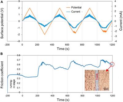 A Chemical Potential Equation for Modeling Triboelectrochemical Reactions on Solid–Liquid Interfaces